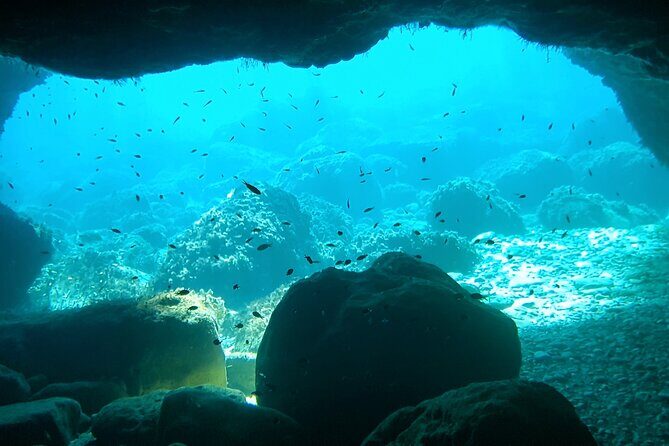 4h / 6h / 8h Elaphite Islands Tour with 7.5m/24FT SunDeck Boat - Sipan and Skocibuha Castle: the optional history stop