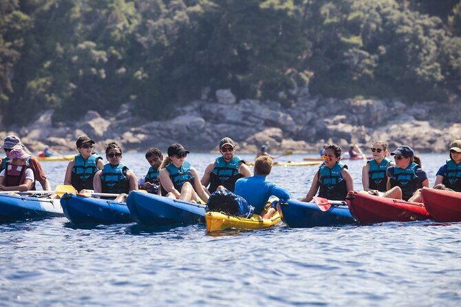 Afternoon Kayaking in Dubrovnik - Key highlights worth knowing