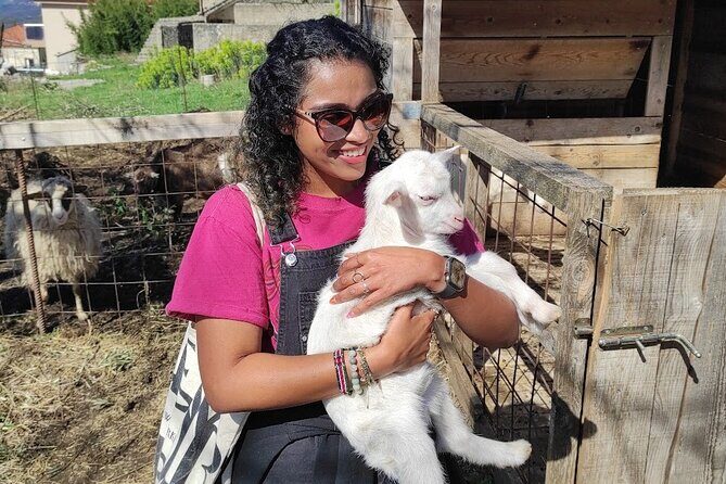 Authentic Garden to Table Cooking Class in Dubrovnik Countryside - Dessert and the goat milking moment (if milk is on the menu)