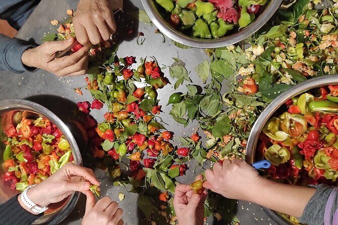 Authentic Garden to Table Cooking Class in Dubrovnik Countryside - 500-year family tree stories over homemade wine