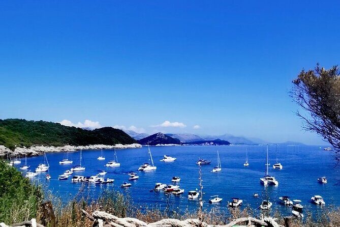 Blue & Green Cave Experience: Drinks, Snorkeling & Šunj Beach - A Speedboat Day Off the Dubrovnik Coast