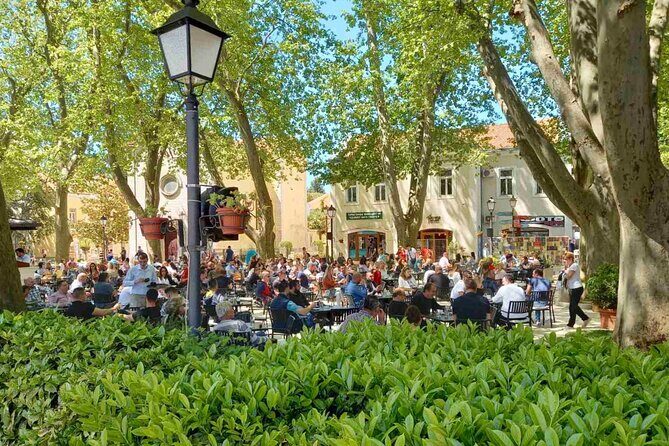 Bosnia Food and Wine Experience Tour - From Dubrovnik - Tuli village: sit down, choose your menu, and drink with the meal