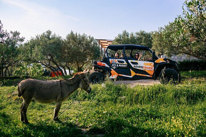 Buggy Dubrovnik Safari Tour (Private) - Mount Srd: the panoramic photo break you actually plan around