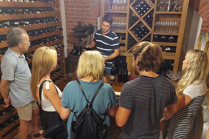 Classic Tour with Wine Tastings from Dubrovnik - What to expect at the wineries: learning, not just tasting
