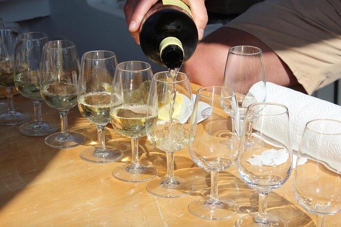 Classic Tour with Wine Tastings from Dubrovnik - Guide impact: Mario’s role in making it feel personal