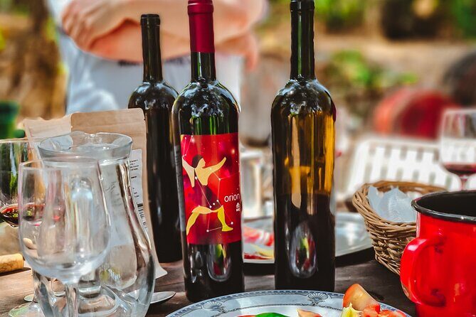 Coastal Vineyards: A Dream Wine Tour to Elaphiti Islands - The People Make It Work: Marino’s Confident Ride and Real Home-Style Welcome
