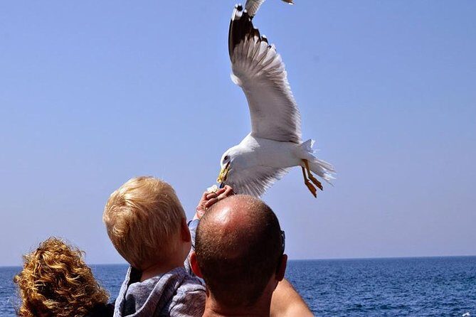 Day Cruise in the Elafiti Islands from Dubrovnik - Guides, sound, and how to make the most of the narration