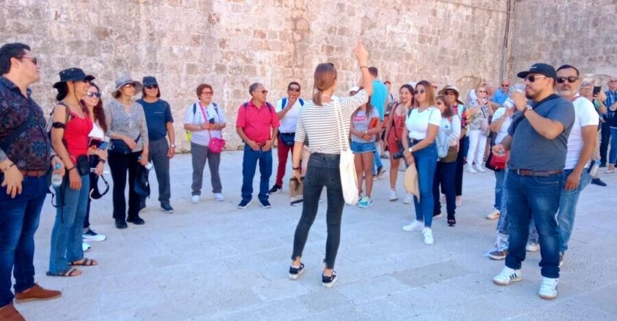 Dubrovnik: 1.5-Hour Guided Old Town Walking Tour - Finding your guide at Amerling Fountain (Pile Gate area)