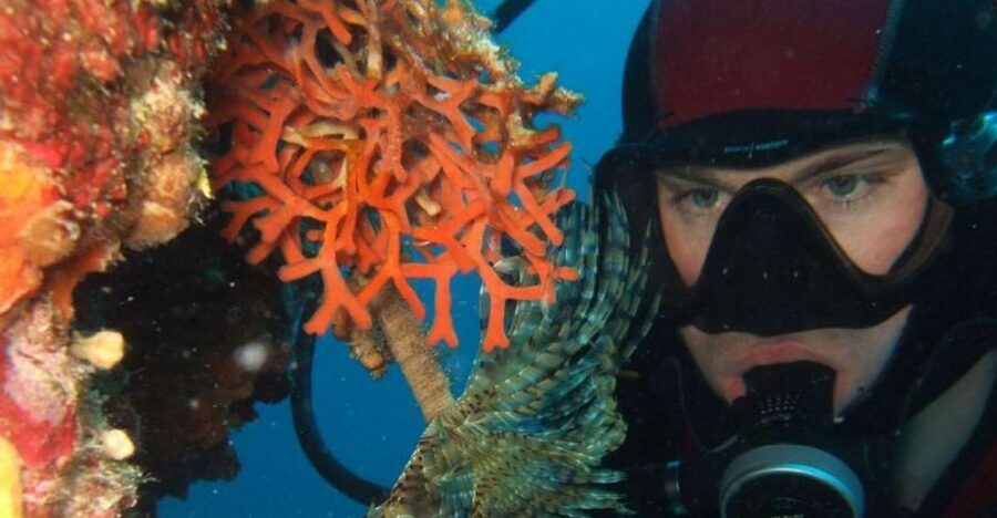 Dubrovnik: 1-Day Diving Package - Key things to know before you go