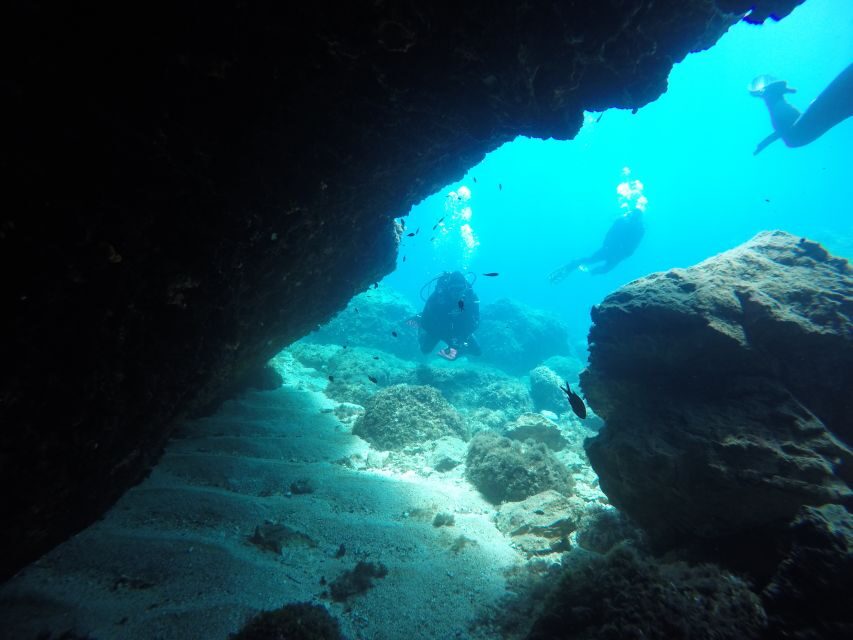 Dubrovnik: 1-Day Diving Package - Who this one-day SCUBA package is best for