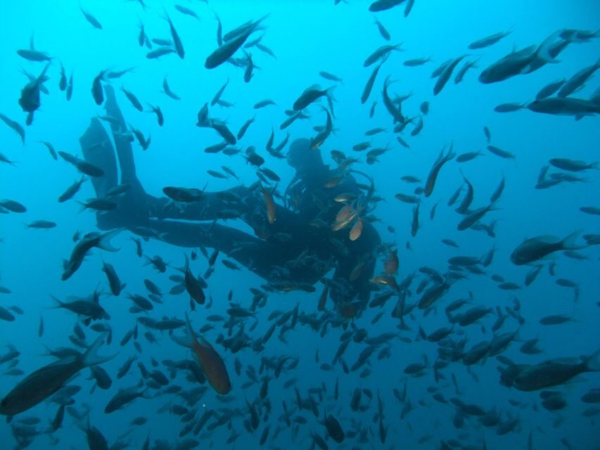 Dubrovnik: 1-Day Diving Package - Dubrovnik’s southern-adriatic water: why this package feels special