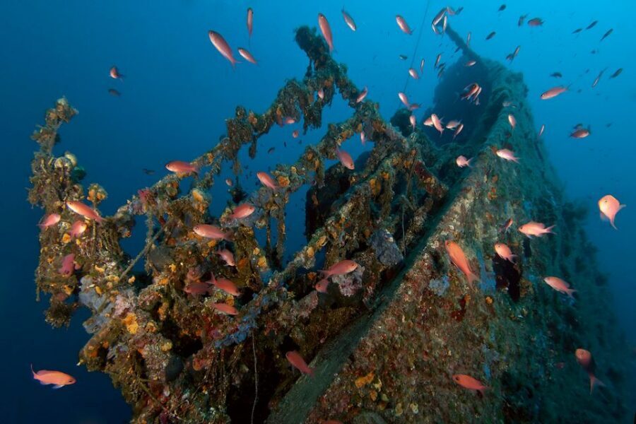 Dubrovnik: 1-Day Diving Package - How sites get chosen: your skill level and the weather do the deciding