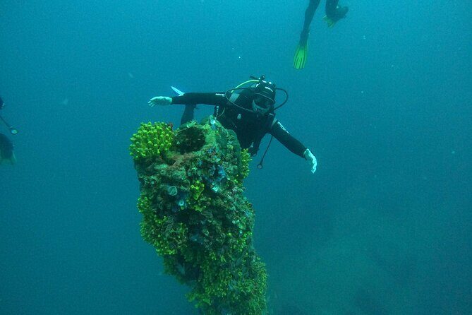Dubrovnik 1 Dive for Certified Divers - Who This SCUBA Tank Session Is Best For