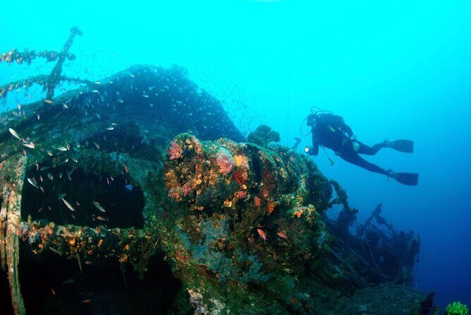 Dubrovnik 1 Dive for Certified Divers - How Michele-Style Care Shows Up Underwater