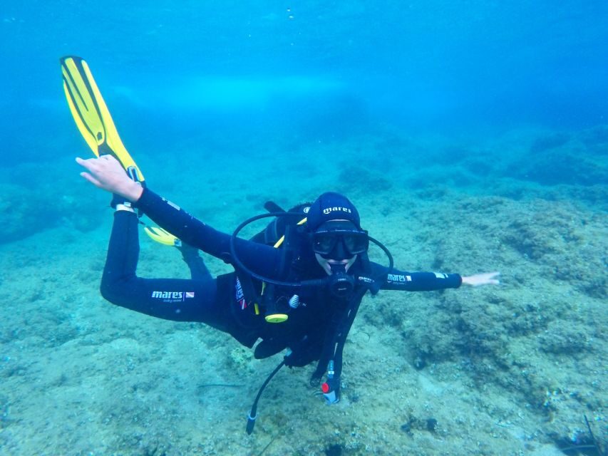 Dubrovnik 2-Hour Uncertified Divers Introductory Dive - Key takeaways before you gear up