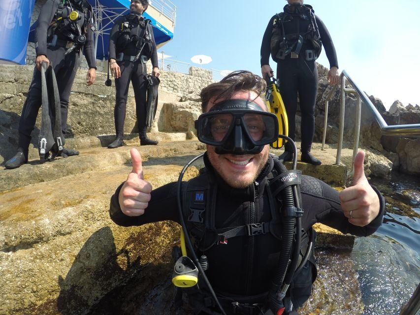 Dubrovnik 2-Hour Uncertified Divers Introductory Dive - What you’ll see under the Adriatic