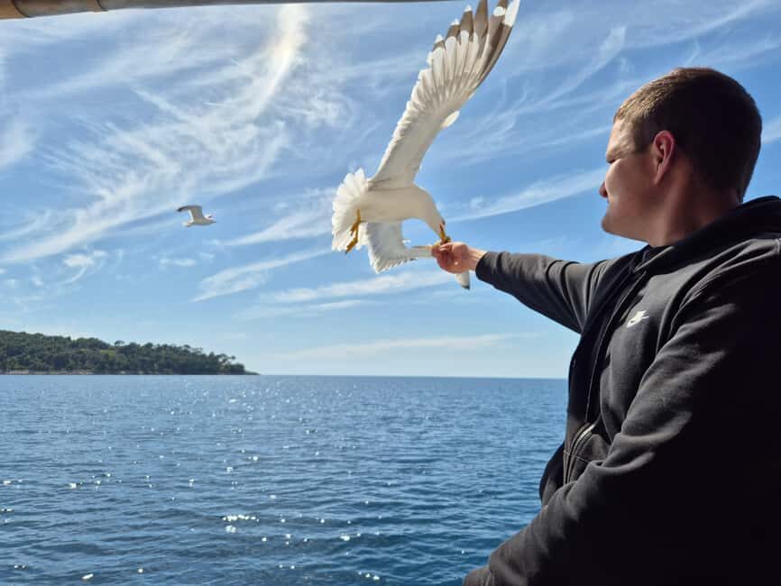 Dubrovnik: 3 Island Boat Tour with Lunch and Guide - Lopud Island: where beach time, a botanical stop, and lunch all mix