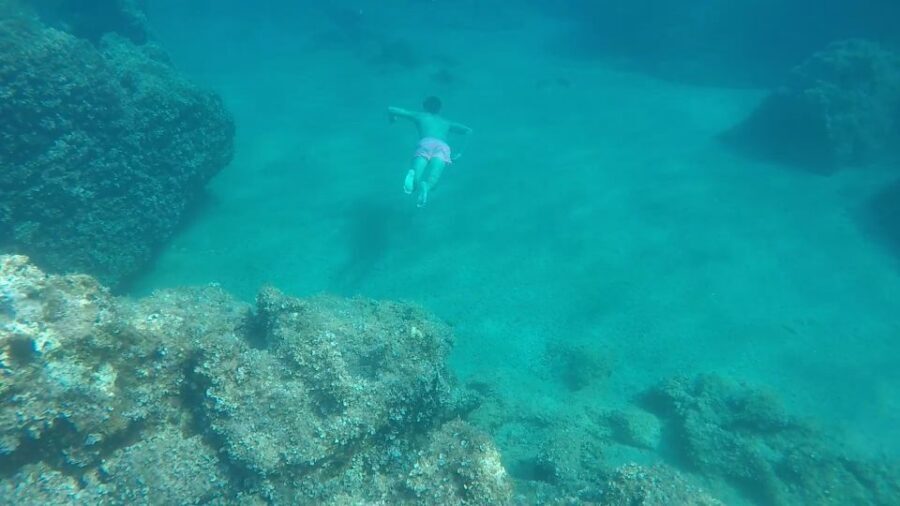Dubrovnik: All-inclusive Islands and Caves Private Boat Tour - Skippers Matter: Why Local Handling Makes This Tour Feel Easy
