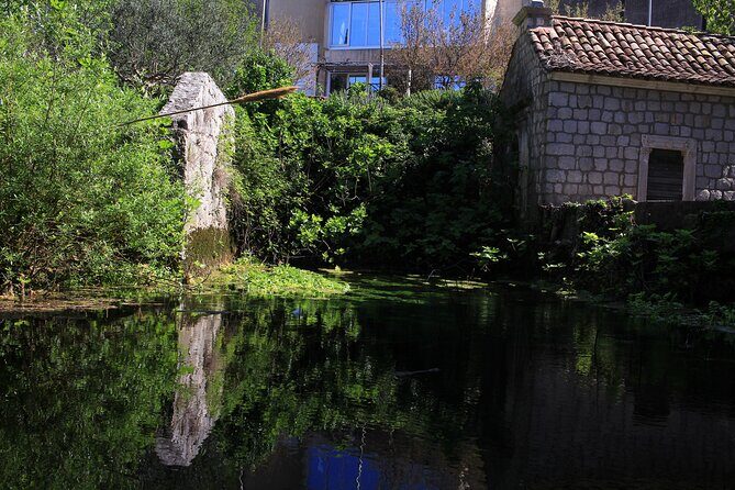 Dubrovnik: Best views Sightseeing Tour - Franjo Tuđman Bridge photo stop: city entrance views and easy framing