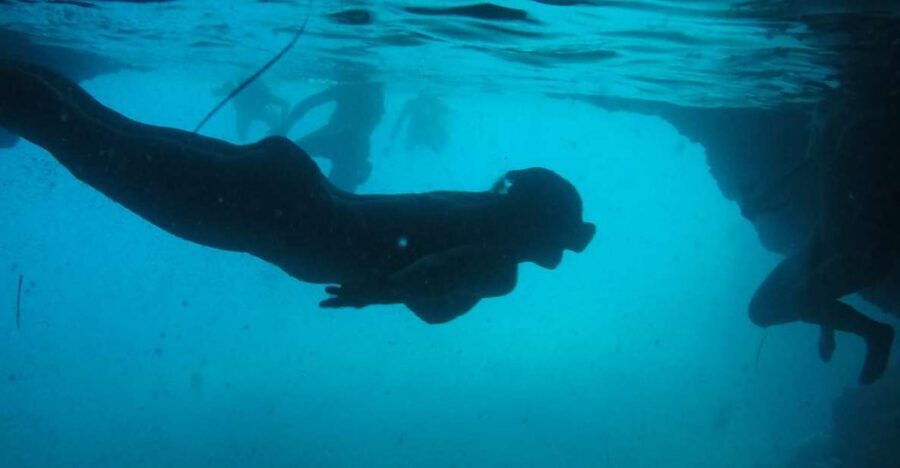Dubrovnik: Blue Cave & Sunj Beach Boat Tour with Drinks - The 4-hour rhythm: why this feels like the right amount of time