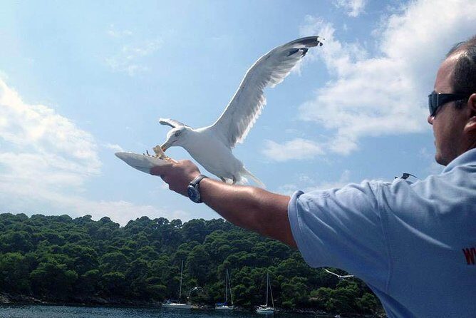 Dubrovnik Elafiti Islands Cruise with Lunch, Drinks and Pickup - Boat time and group size: comfortable enough for a full day