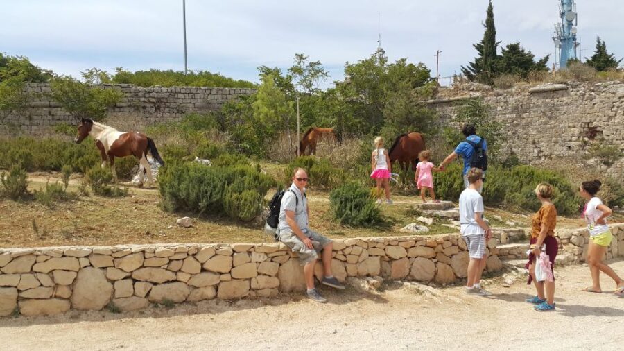 Dubrovnik: Game of Thrones Locations Driving Tour - Trsteno Arboretum: royal gardens, Red Keep pavilion, and Sansa’s moments