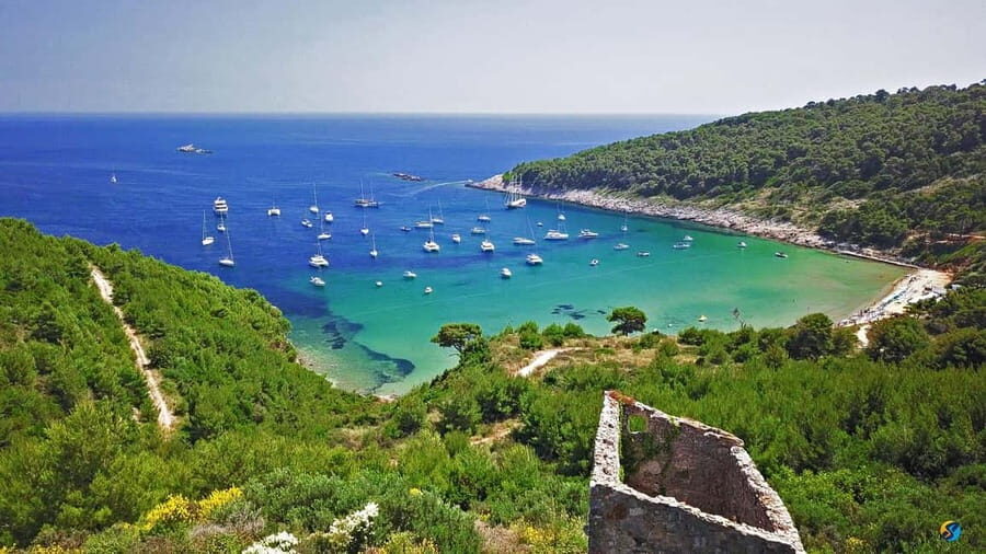 Dubrovnik: Half-Day Boat Tour to Elaphite Islands 4h - Šunj beach break: long enough to actually enjoy it