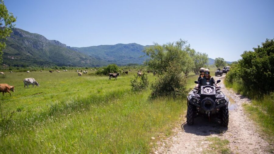Dubrovnik: Kojan Koral ATV Quad Safari with transport - Price and Value: Is $164 Worth It?