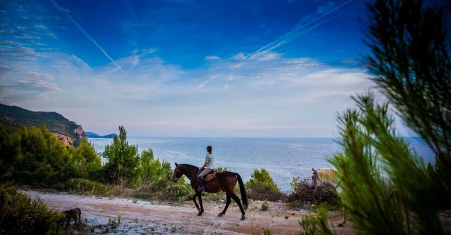 Dubrovnik Kojan Koral: Horseback Riding - Konavle Valley Views From Horseback (Dubrovnik, Croatia)