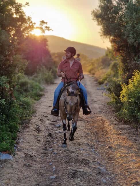 Dubrovnik Kojan Koral: Horseback Riding - Pickup From Your Dubrovnik Area Hotel and What That Timeline Means