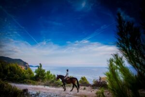Dubrovnik Kojan Koral: Horseback Riding - Ranch Welcome: Snack, Safety Gear, and Learning the Basics