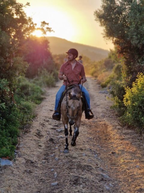 Dubrovnik Kojan Koral: Horseback Riding - The 2-Hour Guided Ride: Forest Paths, Rocky Coast, and Popovići