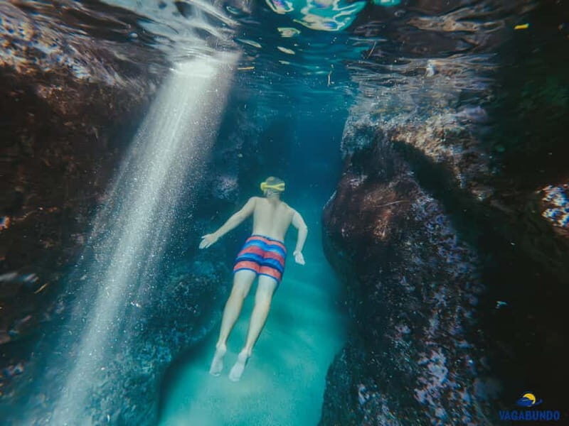 Dubrovnik: Morning Blue Cave speedboat tour with drinks - Blue Cave on Koločep: the first swim with close-to-the-cave approach