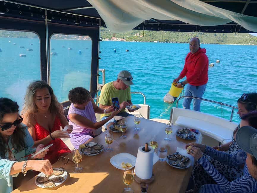 Dubrovnik: Oyster, Mussles, and Wine Tasting Tour in Ston - Price and Value: What You’re Really Paying For in $176