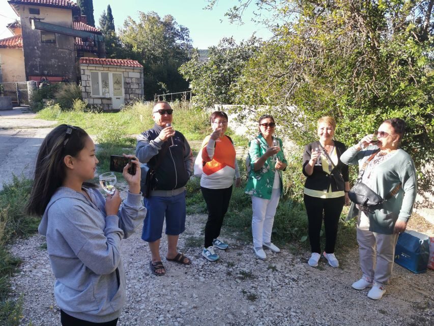 Dubrovnik: Panorama Tour with Free Time in the Old Town - Price and Value: What $58 Really Buys You