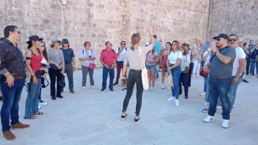 Dubrovnik: Panoramic Ride and Old Town Guided Walking Tour - Timing options: choose your daypart for the least headache