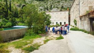Dubrovnik: Panoramic Ride and Old Town Guided Walking Tour - Starting points: cruise port, Old Town, or your hotel