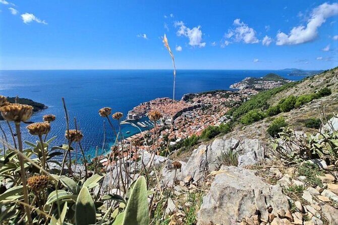 Dubrovnik Panoramic Sightseeing Tour with Guide (minivan) - Highlights you can’t miss