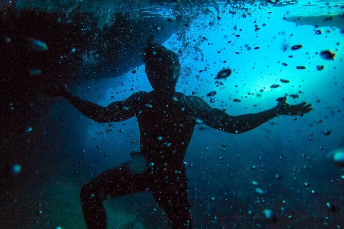 Dubrovnik: Private 2-Hour Swim, Snorkel & Cave Tour - Price and Value at $261.29 per Person