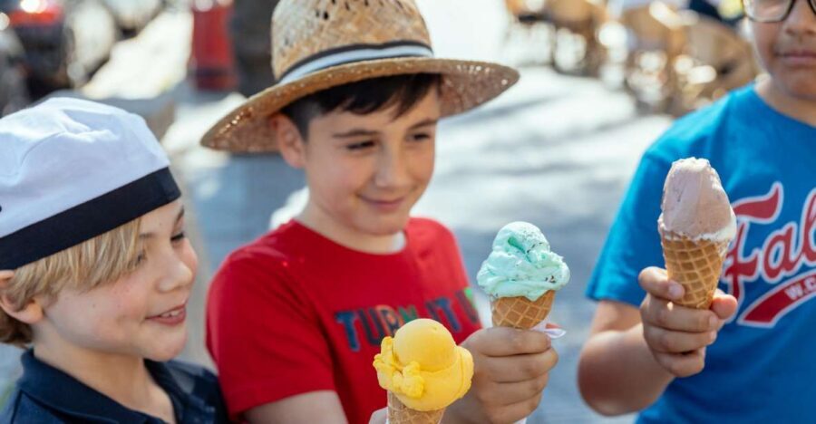Dubrovnik: Private Family Friendly City Tour with Guide - Ice cream for kids and adults: a treat moment built into the plan