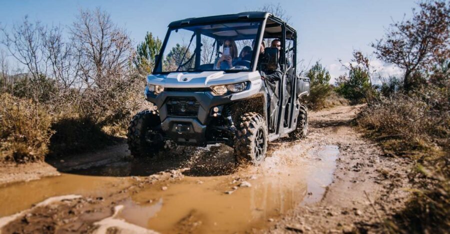 Dubrovnik: Private Panoramic Half-Day Buggy Tour with Brunch - Price and Value: Is $171 a Good Deal?