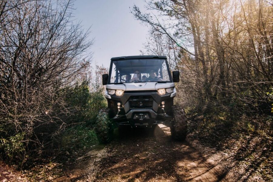 Dubrovnik: Private Panoramic Half-Day Buggy Tour with Brunch - Countryhouse Ano: Olive Oil Tasting That Feels Like a Real Stop