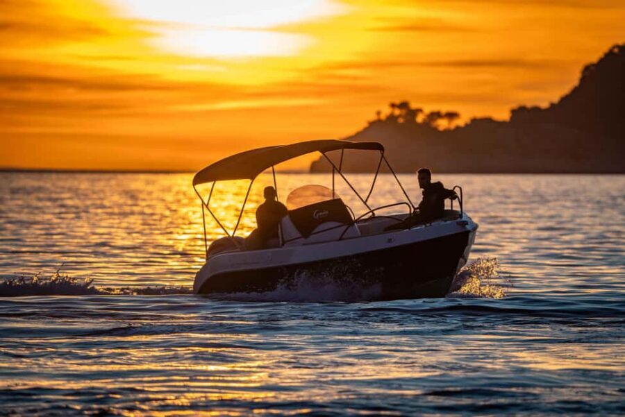 Dubrovnik: Private speedboat tour of Elafiti islands - Key points you’ll care about
