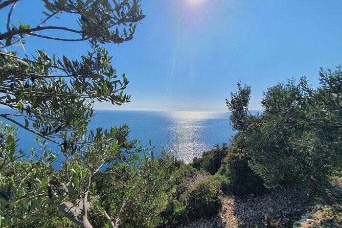 Dubrovnik Private Wine Tasting Tour to Peljesac Peninsula - A Private Pelješac Day That Actually Feels Like a Day