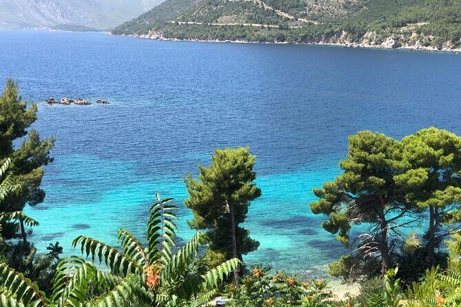 Dubrovnik Private Wine Tasting Tour to Peljesac Peninsula - Walls of Ston: Medieval Stone, Oyster Options, and a Salt Factory Still Running