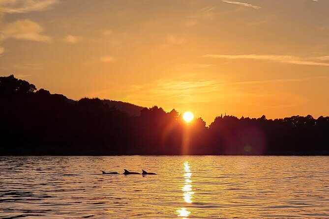 Dubrovnik Romantic Sunset Boat Tour - What You’ll Do On the Water: Lapad to Grebeni Lighthouse