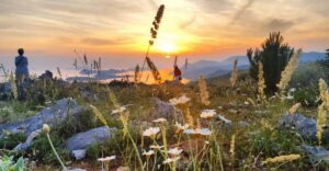 Dubrovnik: Sunset Panorama Tour with Glass of Wine - Pickup and van rides that actually help you see more