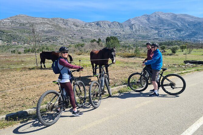 E-Bike Tour + Gourmet Lunch + Wine Tasting (Small Group) - Guides Mislav or Damir make the day worth repeating