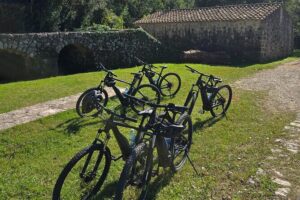 E-Bike Tour + Gourmet Snack + Wine Tasting (Small Group) - Pickup, timing, and what you do right at the start