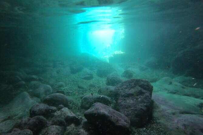 Elaphiti Island private boat tour - Drinks, snorkeling gear, and the small stuff that makes the day easier